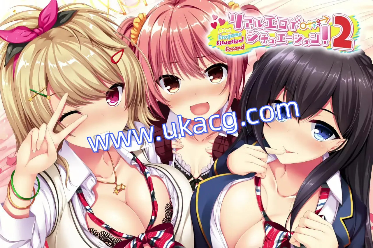 【ADV+官中+PC】真实动漫情境体验！2(リアルエロゲシチュエーション！2)