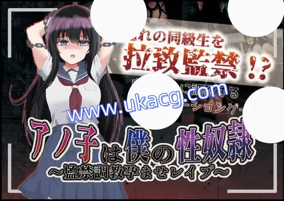 【RPG+机翻+MTool】那女孩是我的性奴隶 监禁调教孕育强奸(アノ子は僕の性奴隷 ?監禁調教孕ませレイプ?)