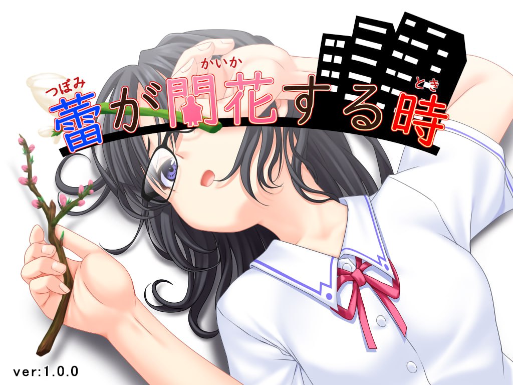 花蕾绽放之时官方中文版：RPG动态中文游戏